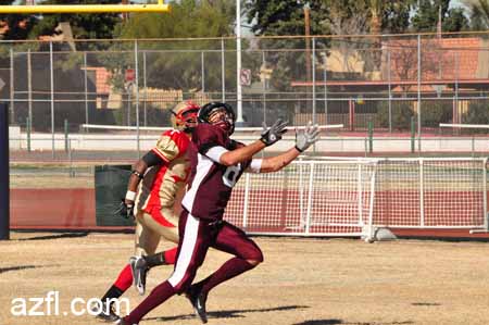 azfl11_012111w01tbirdA274