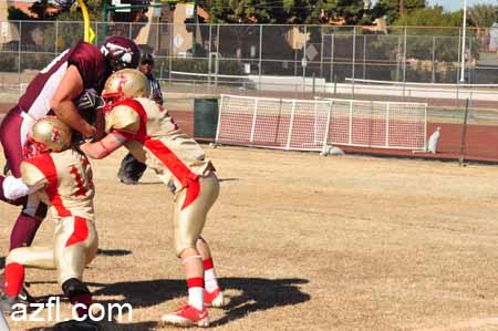 azfl11_012111w01tbirdA284