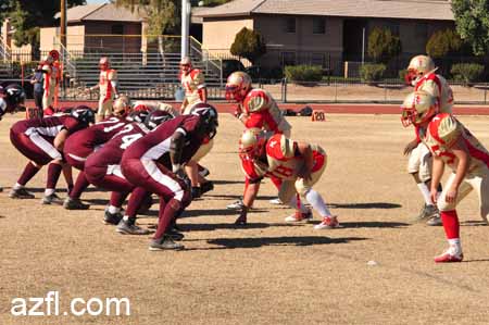 azfl11_012111w01tbirdA325