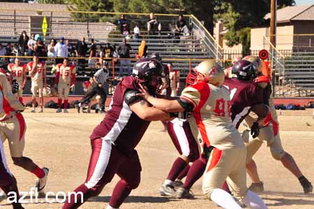 azfl11_012111w01tbirdA331