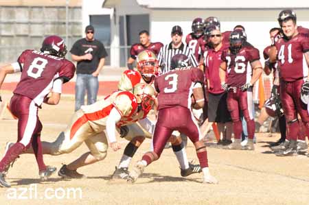 azfl11_012111w01tbirdA378