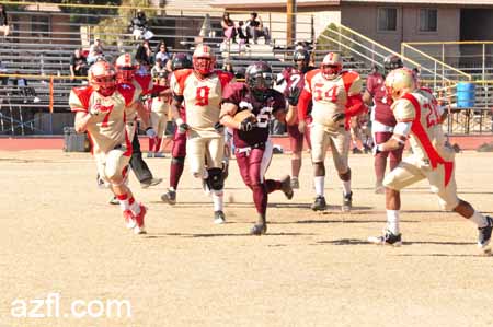 azfl11_012111w01tbirdA395