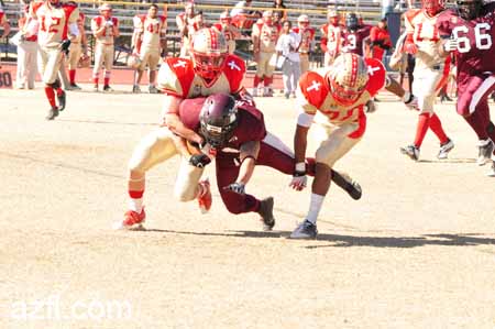 azfl11_012111w01tbirdA398