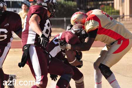 azfl11_012111w01tbirdA435