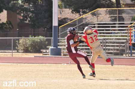 azfl11_012111w01tbirdA439