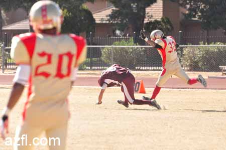 azfl11_012111w01tbirdA441