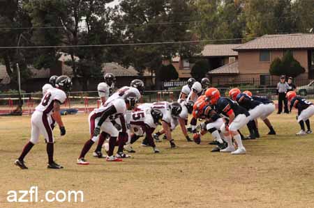 azfl11_w5o022611a799