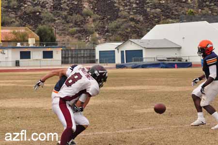 azfl11_w5o022611b181