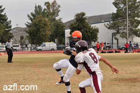 azfl11_w5o022611b224