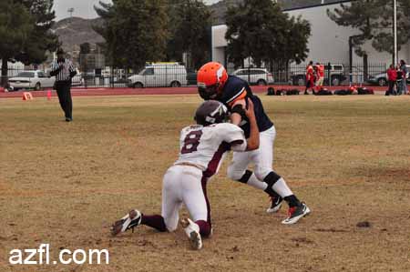 azfl11_w5o022611b228