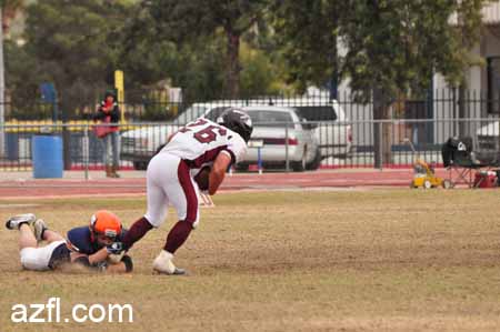 azfl11_w5o022611b252